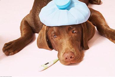 R星环境设计师分享虚幻5自制魂游风格截图